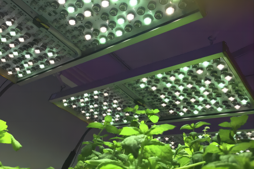 Specialty Lighting